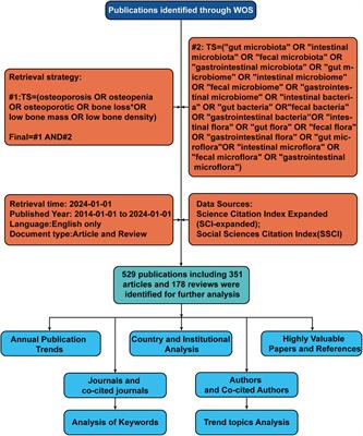 A decade of insight: bibliometric analysis of gut microbiota’s role in osteoporosis (2014–2024)